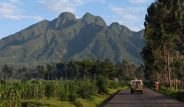 Virunga mountains